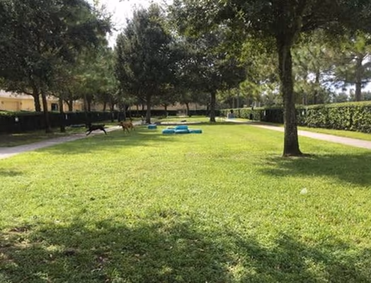 Avalon Dog Park photo 2